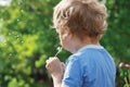 Little cute boy is blowing a dandelion Royalty Free Stock Photo