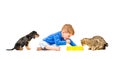 Little cute boy eats with his cat and dog Royalty Free Stock Photo