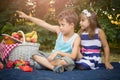 Little cute boy and girl sit on a blanket in the grass and play Royalty Free Stock Photo