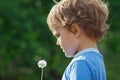 Little cute boy holding a dandelion