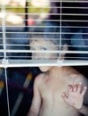 Little cute boy throught window Royalty Free Stock Photo