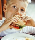 little cute boy 6 years old with hamburger and french fries maki Royalty Free Stock Photo