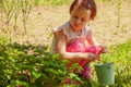 Little cute child girl having fun on strawberry farm in summer. Child eating healthy organic food, fresh berries Royalty Free Stock Photo