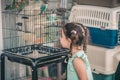 Little Cute Child Looking Colorful Parrot On Cage.