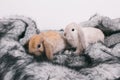 Little cute decorative rabbits