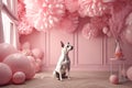 Little cute dog chihuahua in pink room with laces. Generated AI.