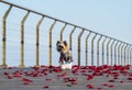 Little cute dressed dog walking on the rose petals