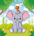 Little cute elephant sits in a clearing in the jungle with a parrot on his head