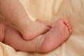 Little cute feet of a newborn baby on a peach plaid. Royalty Free Stock Photo