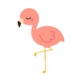 Flamingo Child. Vector Illustration
