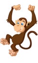 Little cute funny cartoon brown monkey vector Royalty Free Stock Photo