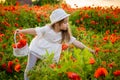 Little cute girl with a basket with bouquet of poppies stands in a field of poppies, Czech repablic Royalty Free Stock Photo
