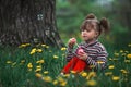 Little cute girl blowing soap bubbles in the park. Royalty Free Stock Photo