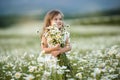 Little cute girl with bouquet of camomile flowers Royalty Free Stock Photo