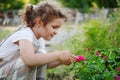 little cute girl caring for flowers in the garden