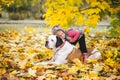 Little cute girl child and her Saint Bernard dog playing in autumn leaves
