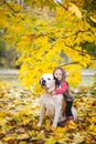 Little cute girl child and her Saint Bernard dog posing in autumn leaves