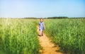 Little girl in a dress runs across the field on a sunny day Royalty Free Stock Photo