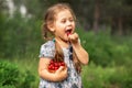 Little girl eating cherries from a basket on nature Royalty Free Stock Photo