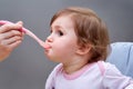 A little cute girl is fed with a spoon of fruit puree on the grey background.