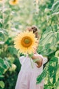 Little cute girl is hiding behind sunflower in the field in warm summer day Royalty Free Stock Photo