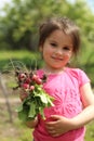 Little cute girl holding an armful of red radishes with green leaves in her hands on blurred farm background