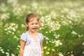 little girl laughing at the meadow of daisies Royalty Free Stock Photo