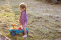 Little cute girl outdoors with a toy car on a sunny day Royalty Free Stock Photo