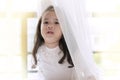 Cute girl playing hide and seek with her parent. Lovely kid get cheerful and fun while out from behind the sheer curtain by Royalty Free Stock Photo