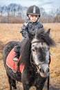 Little cute girl riding a little horse or pony in field in the winter Royalty Free Stock Photo