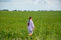 Little cute girl running across the soybean field, summer Royalty Free Stock Photo
