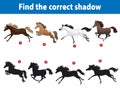 Little cute horses. Child's play find the correct shadow.