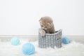 Little cute kitten in a basket with balls of thread on a white background. Cute ginger kitten Royalty Free Stock Photo