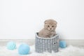 Little cute kitten in a basket with balls of thread on a white background Royalty Free Stock Photo