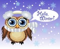 little cute owl fluffy, soft headphones with cold and scarf