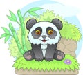 Little cute panda sitting on the grass, funny illustration Royalty Free Stock Photo