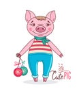 Little cute pig in cartoon style holding Christmas balls in his hand