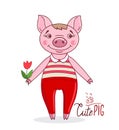 Little cute pig in cartoon style holding a tulip in his hand on a white background