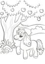 Little cute pony stands under the apple tree.