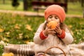 Little Cute Preschool Minor Baby Girl In Beret On Plaid Sniffs Orange Yellow Fallen Leaves In Basket Nice Smiling Close Royalty Free Stock Photo