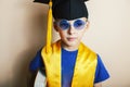 Little cute preschooler boy in glasses with books at home education in graduate hat smiling posing emotional, lifestyle Royalty Free Stock Photo