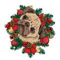 A Little Cute Pug In A Christmas Wreath With Balls And Bows. Vector Illustration For A Postcard Or A Poster. New Year`s.