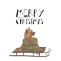 Little cute puppy of breed Spitz in a scarf on a sled. Greeting card with a dog. Merry Christmas. Isolated on a white