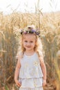 Little cute smiling girl with a wreath of flowers on her head in the summer in nature Royalty Free Stock Photo