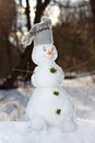 Little cute snowman Royalty Free Stock Photo
