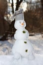 Little cute snowman