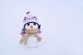 Little cute snowman in a hat and a scarf with a carrot nose on the snow on a winter day Royalty Free Stock Photo