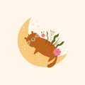 Little cute tiger sleeping on the moon. Adorable animal vector design, illustration Royalty Free Stock Photo