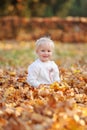 Little cute 3-4-year-old blonde girl sits on fallen leaves and smiles while walking in the autumn park Royalty Free Stock Photo