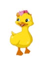 A little cute yellow duck with blue eyes design animal cartoon Royalty Free Stock Photo